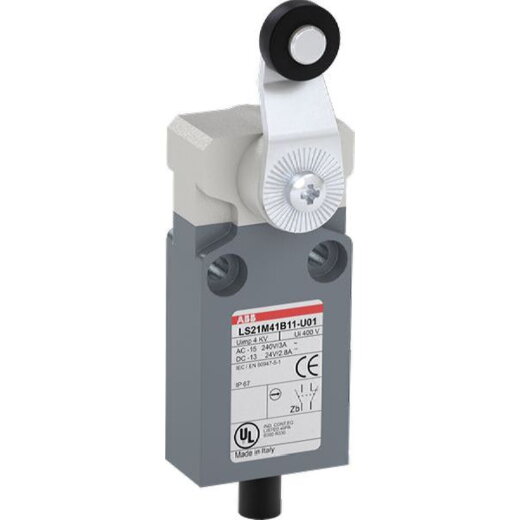 ABB Stotz-Kontakt Kompakt-Positionsschalter LS21M41B11-U01 IP67 1SBV015641R2601