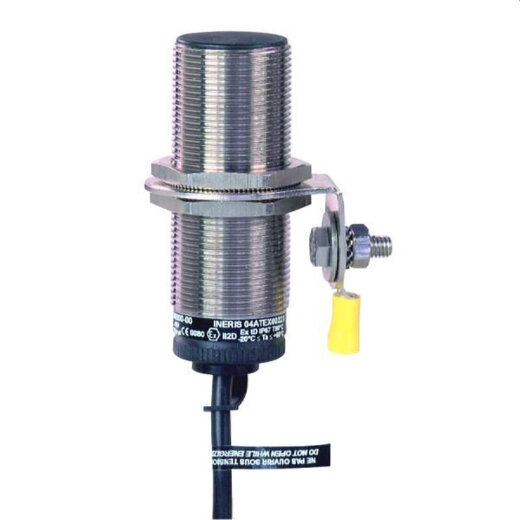 Schneider Electric Induktiver-Sensor XS630B1PAL10EX M30 61,6mm