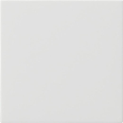 Gira Bedienaufsatz 536003 S3000 System 55 reinweiss 536003