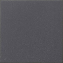 Gira Bedienaufsatz 536028 S3000 System 55 anthrazit 536028