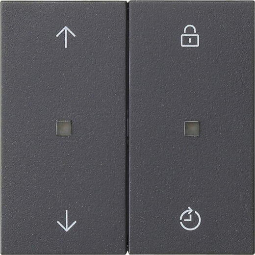 Gira Bedienaufsatz 536328 S3000 Memory System 55 anhrazit 536328