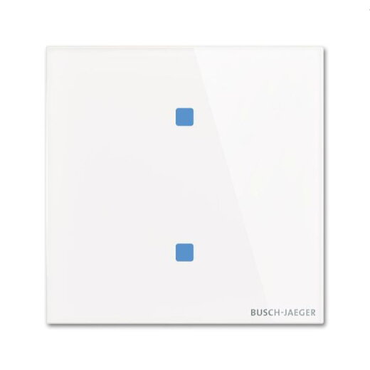 Busch-Jaeger Touch-Bedienelement TB/U2.4.11-CG 2fach