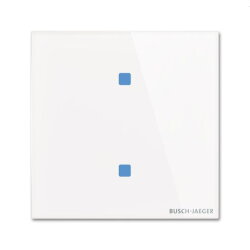 Busch-Jaeger Touch-Bedienelement TB/U2.4.11-CG 2fach