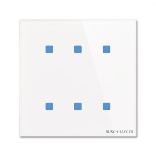 Busch-Jaeger Touch-Bedienelement TB/U6.4.11-CG 6fach
