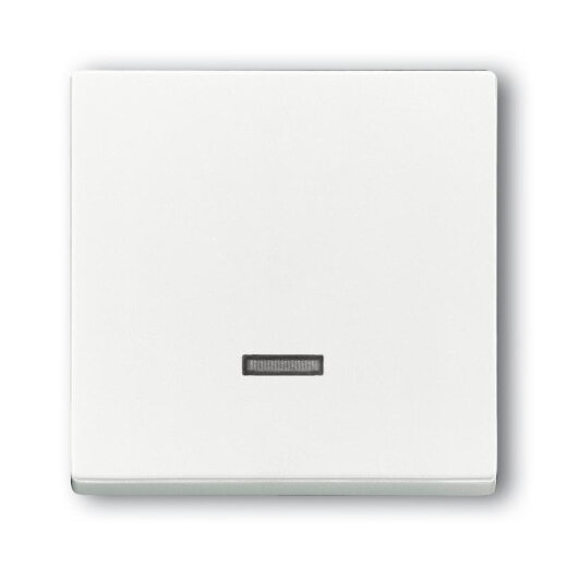 Busch-Jaeger 6543-84-101 Bedienelement