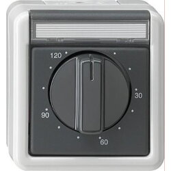 Gira Zeitschalter 032130 120 min WG AP grau