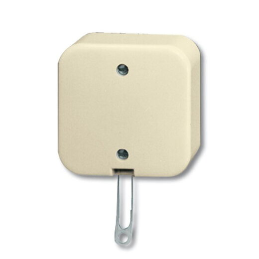 Busch-Jaeger 2610/6 AP Zugschalter