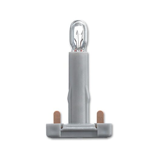 Busch-Jaeger 8344-1 8V 40mA Glühlampe, Glühbirne