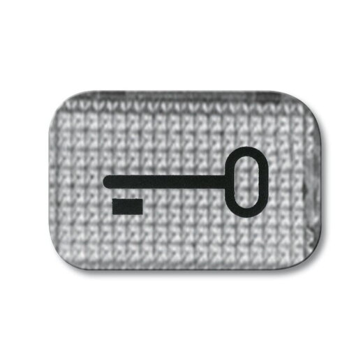 Busch-Jaeger 2145 TR Tuer Symbol