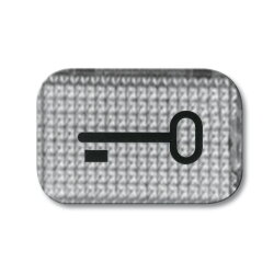 Busch-Jaeger 2145 TR Tuer Symbol