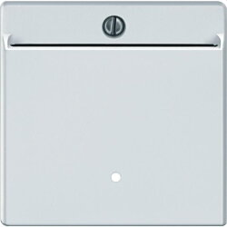 Merten Cardschalter 315419 polarweiss System M