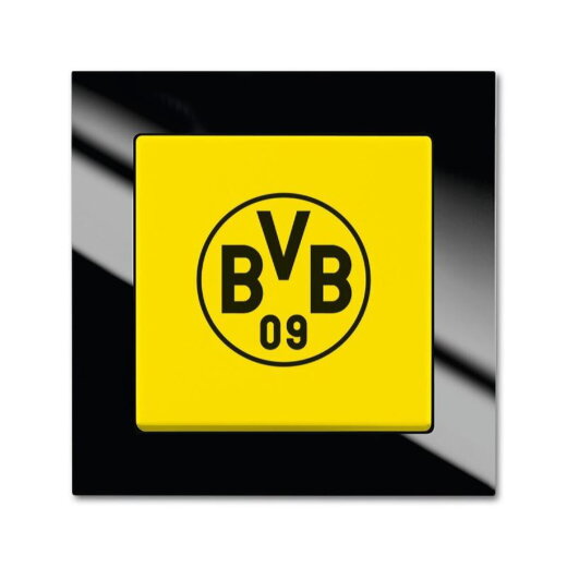 Busch-Jaeger 2000/6 UJ/01 BVB Schalter