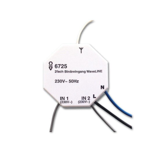 Busch-Jaeger 6725 Waveline 2fach Binäreingang