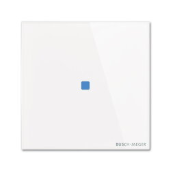 Busch-Jaeger Touch-Bedienelement TB/U1.1.11-CG 1fach