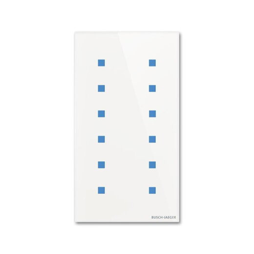 Busch-Jaeger Touch-Bedienelement TB/U12.7.11-CG 12fach