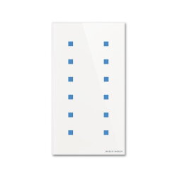 Busch-Jaeger Touch-Bedienelement TB/U12.7.11-CG 12fach
