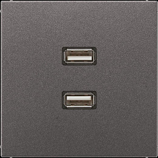 Jung Multimedia-Anschlusssystem 2 x USB 2.0, Serie LS, anthrazit (lackiertes Aluminium) MAAL1153AN