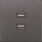 Jung Multimedia-Anschlusssystem 2 x USB 2.0, Serie LS, anthrazit (lackiertes Aluminium) MAAL1153AN