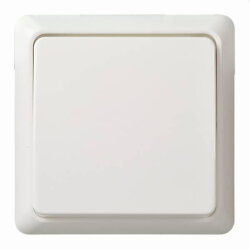 ELSO Taster 502104 10A komplett RENOVIERUNG rw