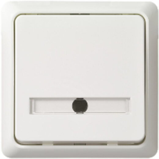 ELSO Taster 506324 42V/1A AP flach RENOVIERUNG rw