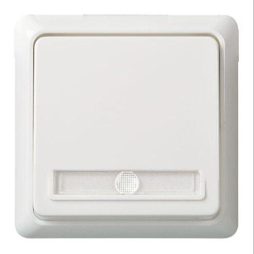 ELSO Taster 502124 10A bel. RENOVIERUNG reinweiß