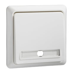 ELSO Taster 502144 10A beleuchtet RENOVIERUNG rw