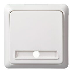 ELSO Taster 512134 10A komplett RENOVIERUNG rw