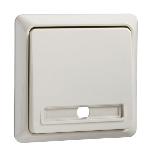 ELSO Taster 502130 10A komplett RENOVIERUNG pw