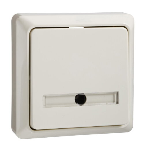 ELSO Taster 506220 42V/1A Aufputz RENOVIERUNG pw