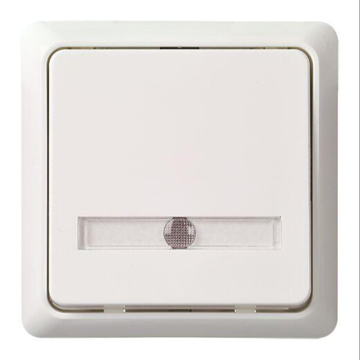 ELSO UP-Taster 506114 42V/1A UP bel. RENOVIERUNG rw