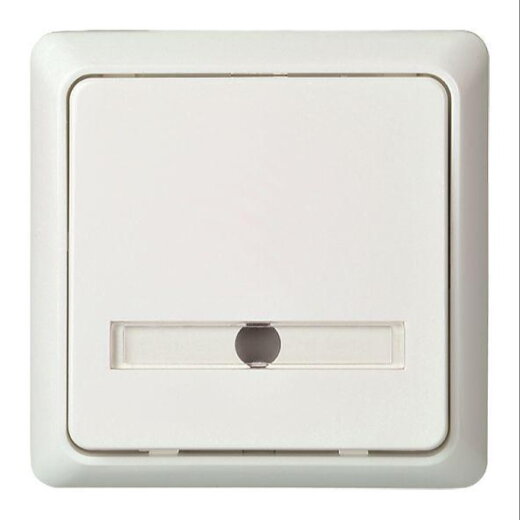 ELSO Taster 506134 42V/1A UP bel. RENOVIERUNG rw