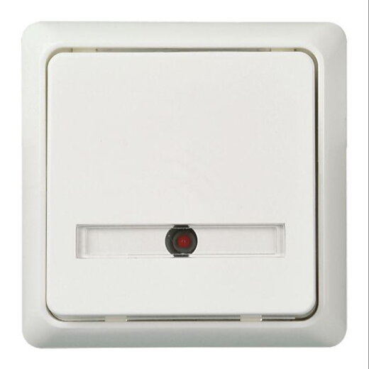 ELSO Tastfläche 506374 42V/1A AP flach bel. 2xLED rw