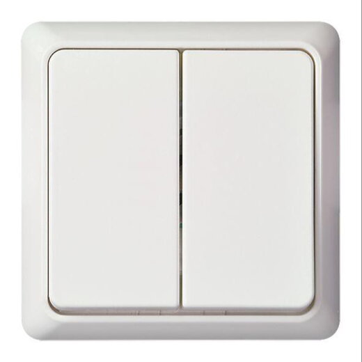 ELSO UP-Doppeltaster 242514 10A RENOVIERUNG komplett rw