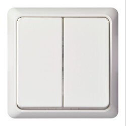 ELSO UP-Doppeltaster 242514 10A RENOVIERUNG komplett rw