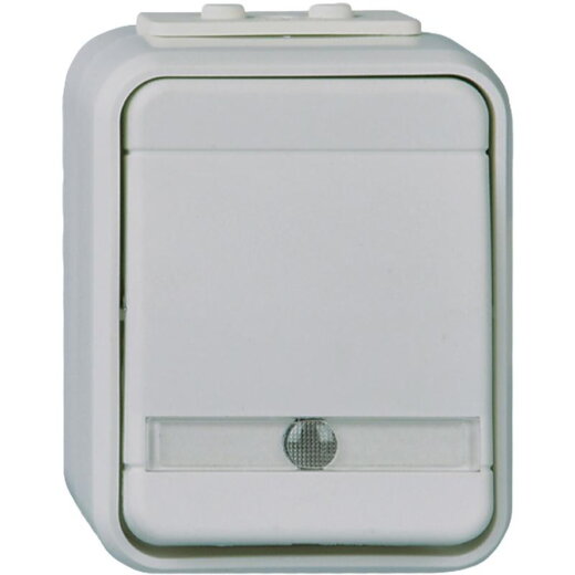 ELSO Wechselschalter ELG441619 bel. 10A licht/basaltgrau