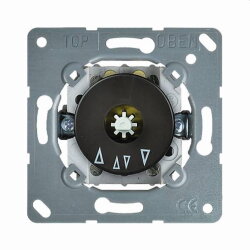 ELSO Jalousiedrehschaltereinsatz 121820 2polig 10A