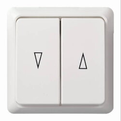 ELSO Jalousietaster 502804 10A RENOVIERUNG reinweiß