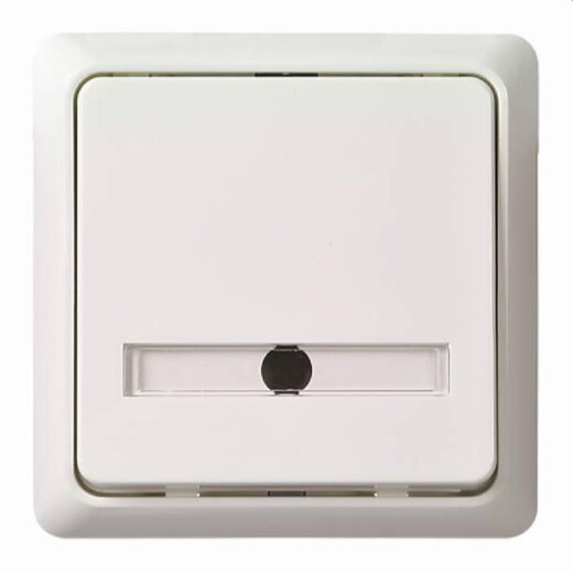 ELSO Taster 506124 42V/1A Unterputz RENOVIERUNG rw