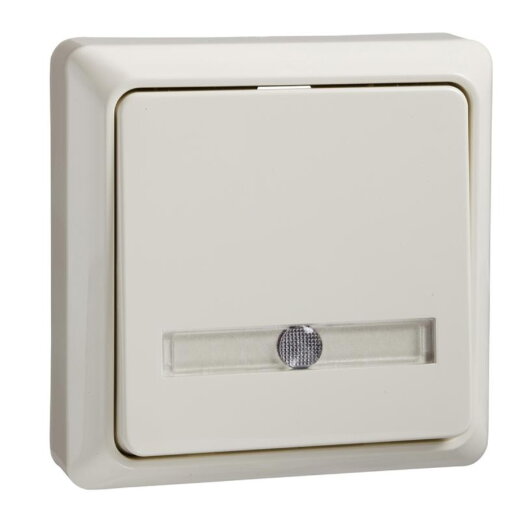 ELSO Taster 506210 42V/1A AP bel. RENOVIERUNG pw