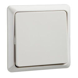 ELSO UP-Taster 252100 10A RENOVIERUNG komplett pw