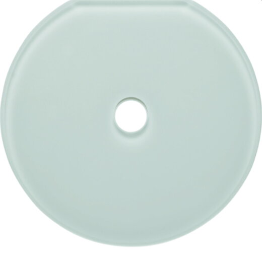 Berker Glasendplatte Schalter Serie Glas polarweiss 109409