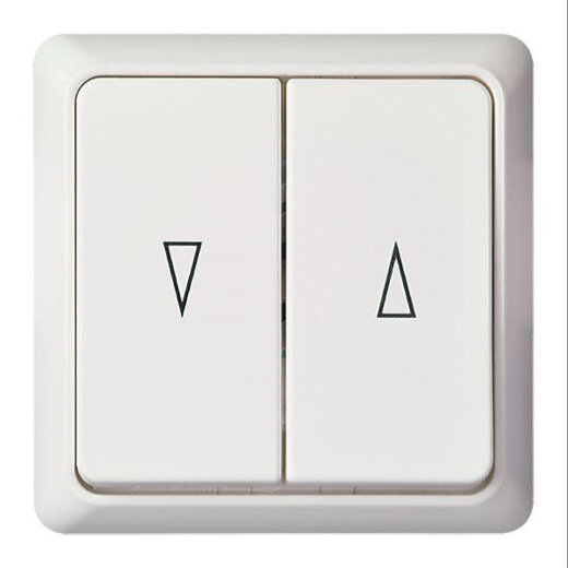 ELSO UP-Jalousietaster 242804 10A RENOVIERUNG komplett rw