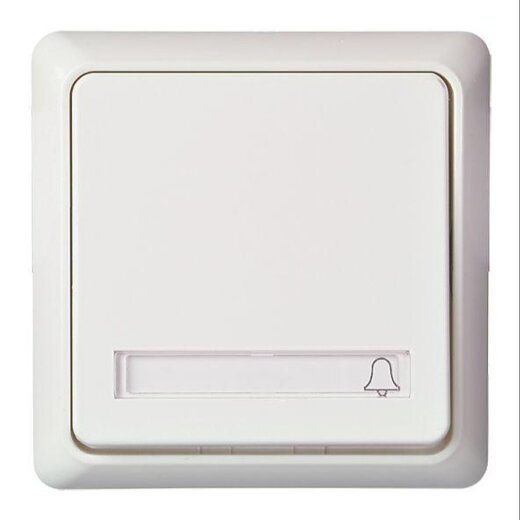 ELSO UP-Taster 252114 10A RENOVIERUNG komplett rw