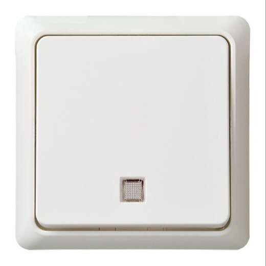 ELSO UP-Wechselkontrollschalter 241624 10A RENOVIERUNG komplett rw