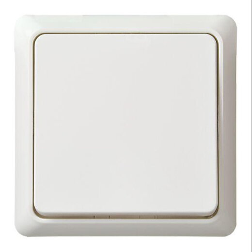 ELSO UP-Wechseltaster 242604 10A RENOVIERUNG komplett rw