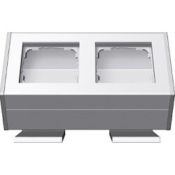 Gira Profil 119227 2fach + Befestig.winkel 55 rw