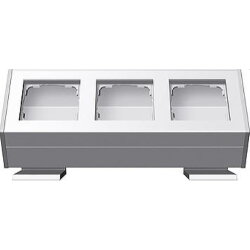 Gira Profil 119327 3fach + Befestig.winkel 55 rw