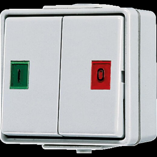 Jung Doppeltaster, 2 Wechsler, 10 A 250 V ~, IP 44, WG 600 639W