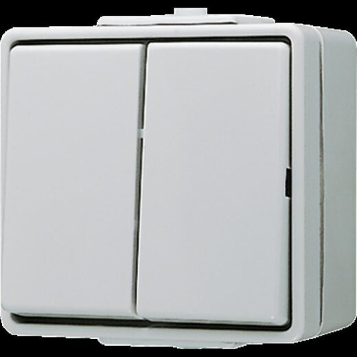 Jung Wippschalter, Serien, 10 AX 250 V ~, IP 44, WG 600 605W