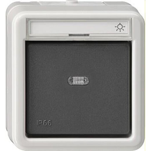 Gira Wipptaster 015631 Wechsler WD AP grau